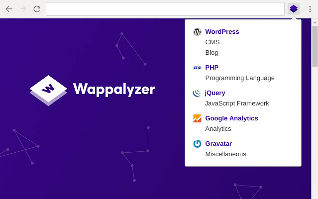 Wappalyzer Popup Details